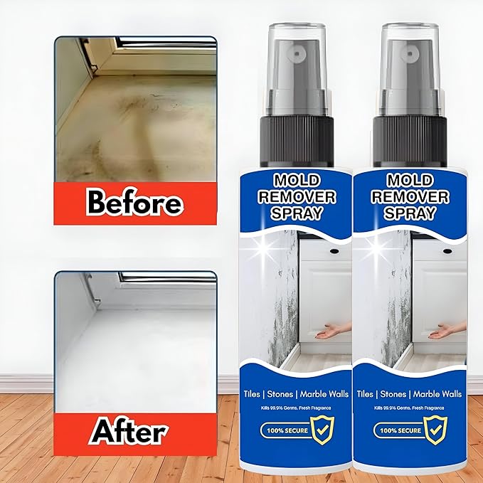 16576